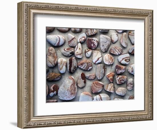 Gifts of the Earth I-Elena Ray-Framed Photographic Print