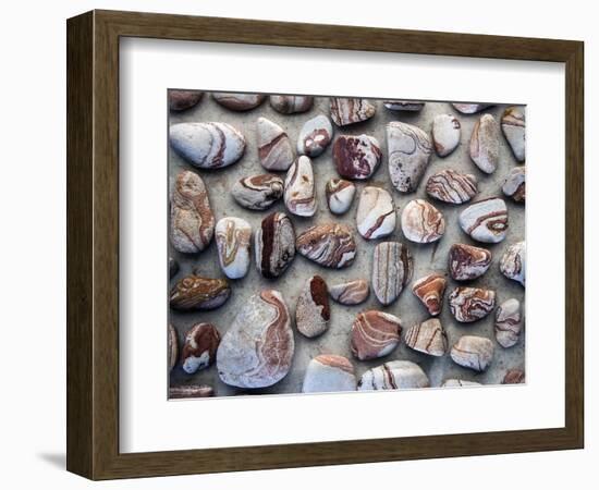 Gifts of the Earth I-Elena Ray-Framed Photographic Print