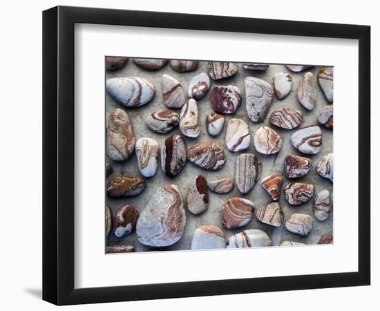 Gifts of the Earth I-Elena Ray-Framed Photographic Print