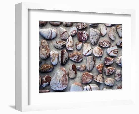 Gifts of the Earth I-Elena Ray-Framed Photographic Print