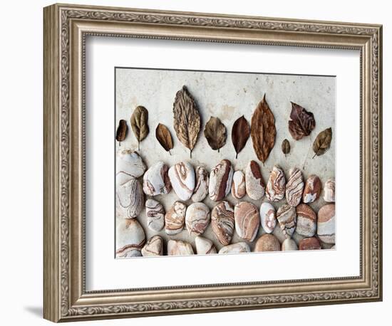 Gifts of the Earth II-Elena Ray-Framed Photographic Print