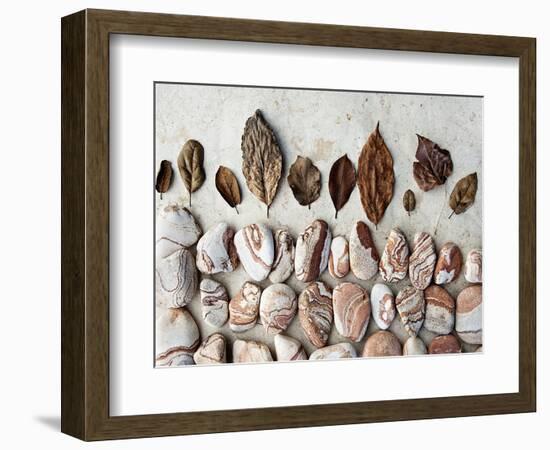 Gifts of the Earth II-Elena Ray-Framed Photographic Print