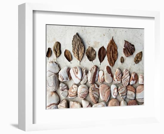 Gifts of the Earth II-Elena Ray-Framed Photographic Print