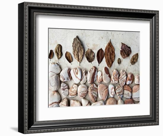 Gifts of the Earth II-Elena Ray-Framed Photographic Print