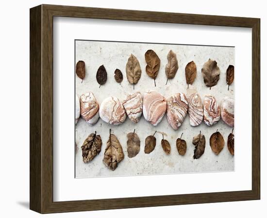 Gifts of the Earth III-Elena Ray-Framed Photographic Print