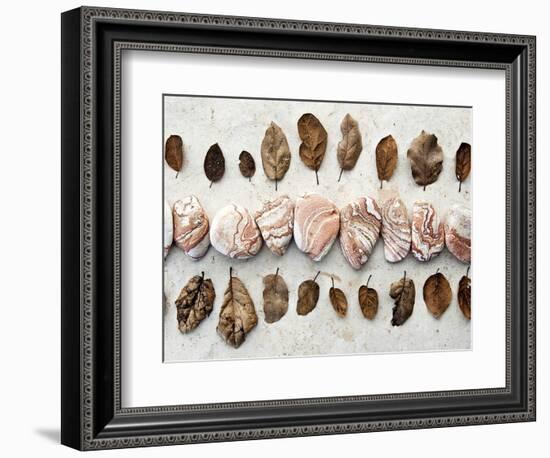 Gifts of the Earth III-Elena Ray-Framed Photographic Print