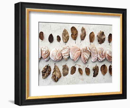 Gifts of the Earth III-Elena Ray-Framed Photographic Print