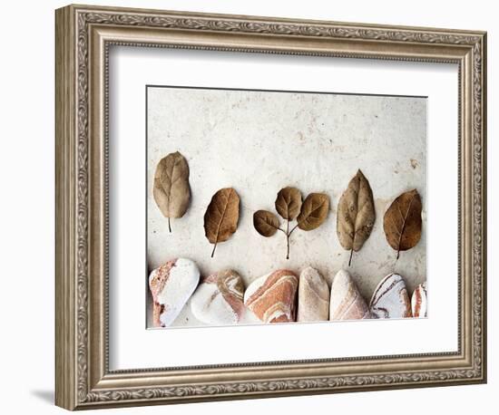 Gifts of the Earth IV-Elena Ray-Framed Photographic Print