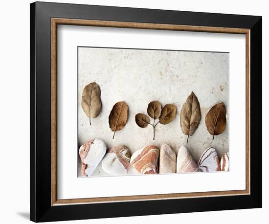 Gifts of the Earth IV-Elena Ray-Framed Photographic Print