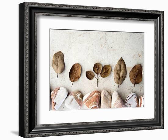 Gifts of the Earth IV-Elena Ray-Framed Photographic Print