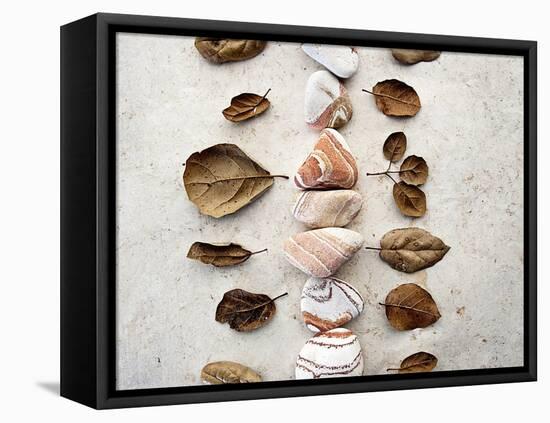 Gifts of the Earth V-Elena Ray-Framed Premier Image Canvas