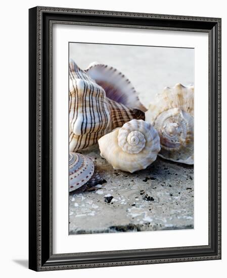 Gifts of the Shore I-Elena Ray-Framed Photographic Print