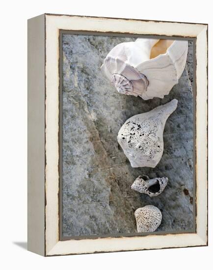 Gifts of the Shore IX-Elena Ray-Framed Premier Image Canvas