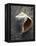 Gifts of the Shore V-Elena Ray-Framed Premier Image Canvas