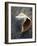 Gifts of the Shore V-Elena Ray-Framed Photographic Print