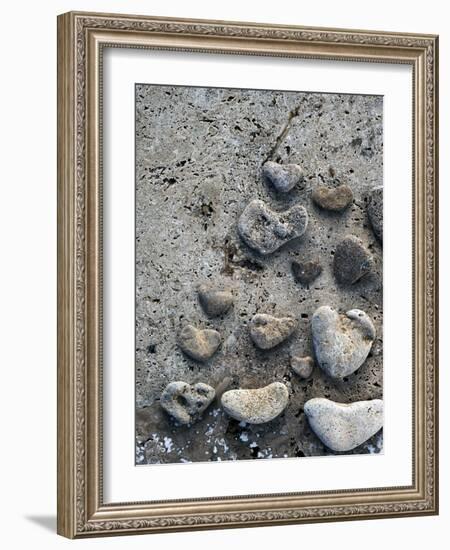 Gifts of the Shore VI-Elena Ray-Framed Photographic Print