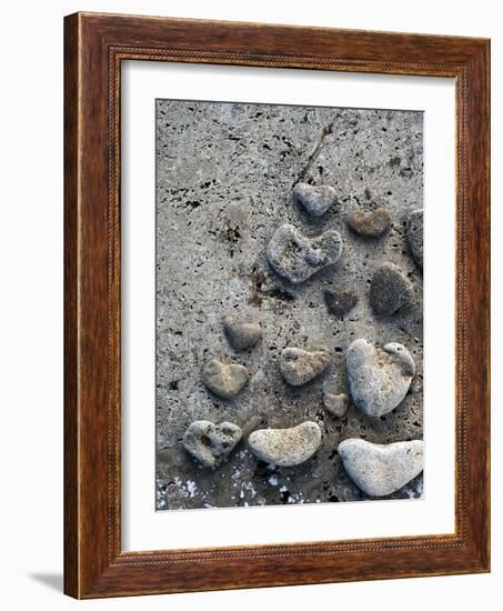 Gifts of the Shore VI-Elena Ray-Framed Photographic Print