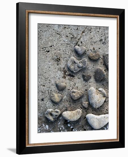 Gifts of the Shore VI-Elena Ray-Framed Photographic Print