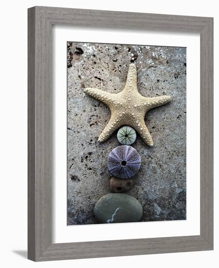Gifts of the Shore VII-Elena Ray-Framed Photographic Print