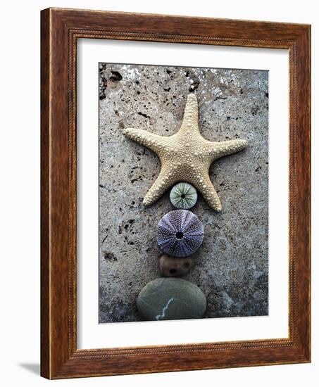 Gifts of the Shore VII-Elena Ray-Framed Photographic Print