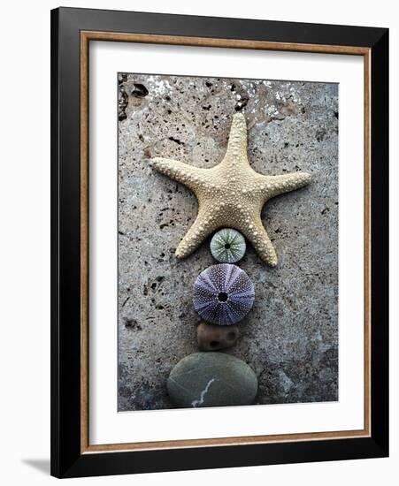 Gifts of the Shore VII-Elena Ray-Framed Photographic Print