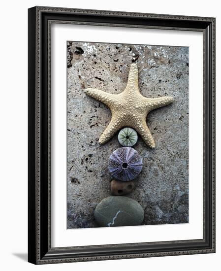 Gifts of the Shore VII-Elena Ray-Framed Photographic Print