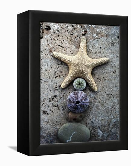 Gifts of the Shore VII-Elena Ray-Framed Premier Image Canvas