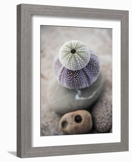 Gifts of the Shore VIII-Elena Ray-Framed Photographic Print