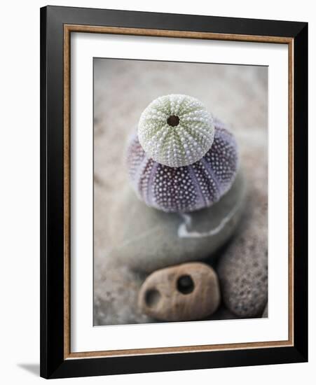 Gifts of the Shore VIII-Elena Ray-Framed Photographic Print