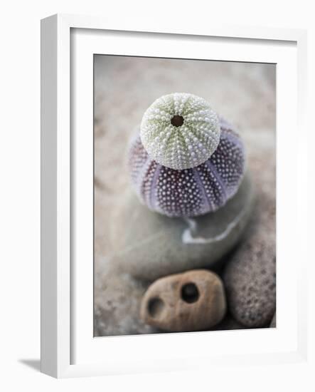 Gifts of the Shore VIII-Elena Ray-Framed Photographic Print