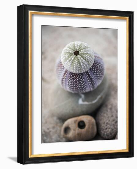 Gifts of the Shore VIII-Elena Ray-Framed Photographic Print