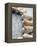Gifts of the Shore X-Elena Ray-Framed Premier Image Canvas
