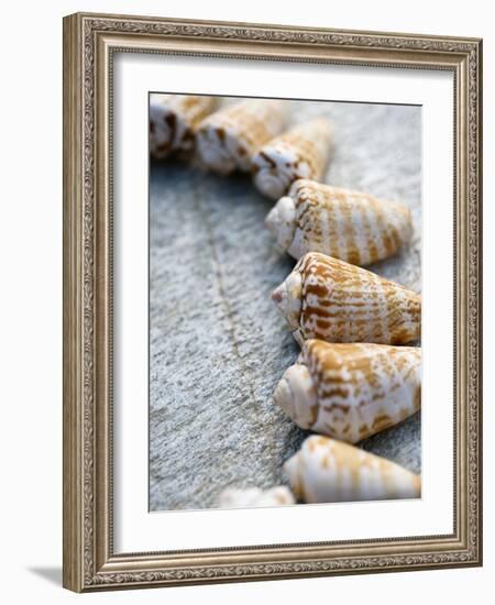 Gifts of the Shore X-Elena Ray-Framed Photographic Print