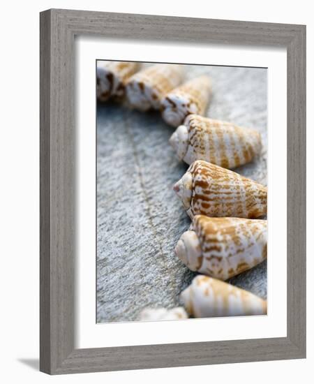 Gifts of the Shore X-Elena Ray-Framed Photographic Print