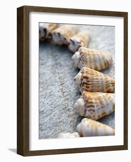 Gifts of the Shore X-Elena Ray-Framed Photographic Print