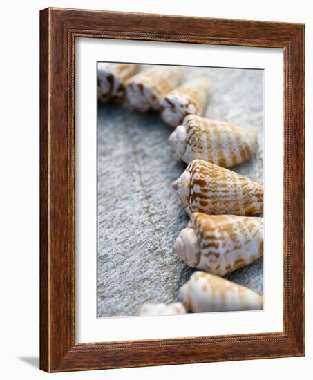 Gifts of the Shore X-Elena Ray-Framed Photographic Print