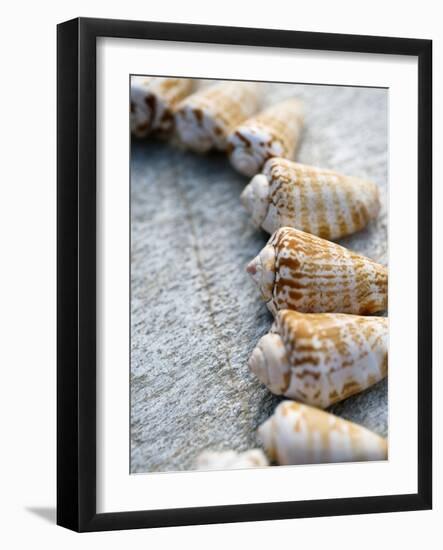 Gifts of the Shore X-Elena Ray-Framed Photographic Print