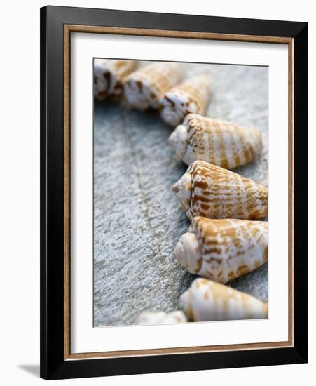 Gifts of the Shore X-Elena Ray-Framed Photographic Print