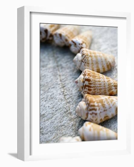 Gifts of the Shore X-Elena Ray-Framed Photographic Print