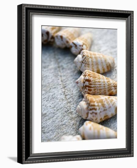 Gifts of the Shore X-Elena Ray-Framed Photographic Print