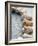 Gifts of the Shore X-Elena Ray-Framed Photographic Print