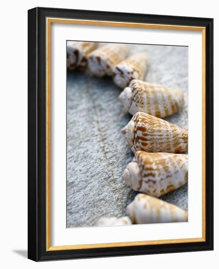 Gifts of the Shore X-Elena Ray-Framed Photographic Print