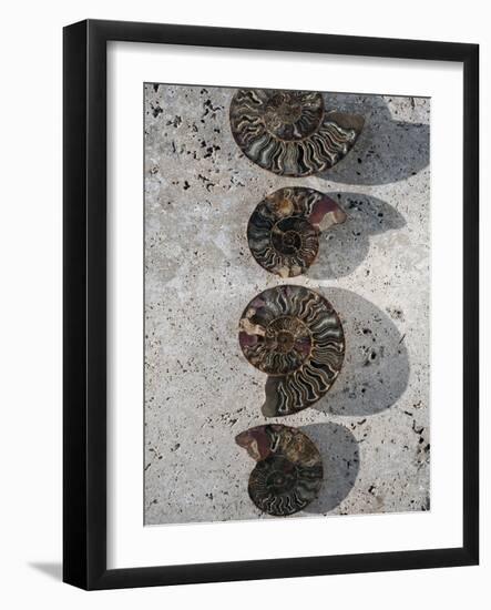 Gifts of the Shore XII-Elena Ray-Framed Photographic Print