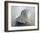 Gifts of the Shore XIX-Elena Ray-Framed Photographic Print