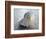 Gifts of the Shore XIX-Elena Ray-Framed Photographic Print