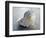 Gifts of the Shore XIX-Elena Ray-Framed Photographic Print