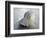 Gifts of the Shore XIX-Elena Ray-Framed Photographic Print