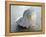 Gifts of the Shore XIX-Elena Ray-Framed Premier Image Canvas