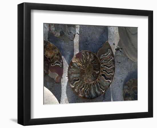 Gifts of the Shore XVI-Elena Ray-Framed Photographic Print