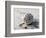 Gifts of the Shore XVII-Elena Ray-Framed Photographic Print